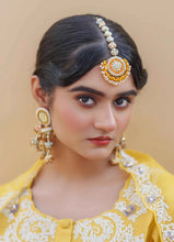 Jodha Bai Necklace Tikka Earring