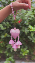 Dulhaniya Lumba Bhabhi Rakhi